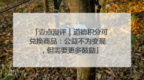 壹点漫评｜道德积分可兑换商品：公益不为变现，但需要更多鼓励